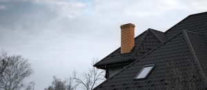 ABC Ramonage photo 4